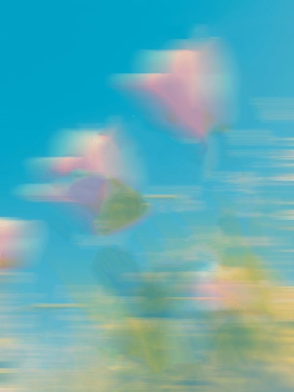 �仨ʱ���ַ��
