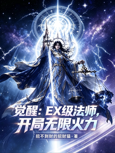 觉醒:EX级法师,开局无限火力